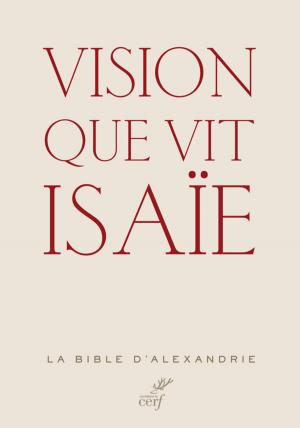 Book cover of Vision que vit Isaïe