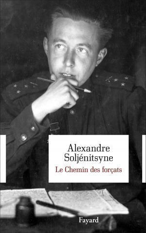 Cover of the book Le Chemin des forçats by Jean-François Solnon