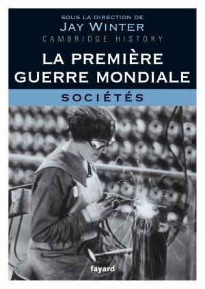 Cover of the book La Première Guerre mondiale - tome 3 by Madeleine Chapsal