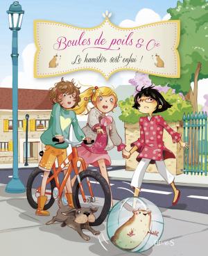 Cover of the book Le hamster s'est enfui ! by Claire Renaud, Vincent Villeminot