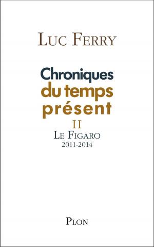 Cover of the book Chroniques du temps présent II by Bertrand DICALE