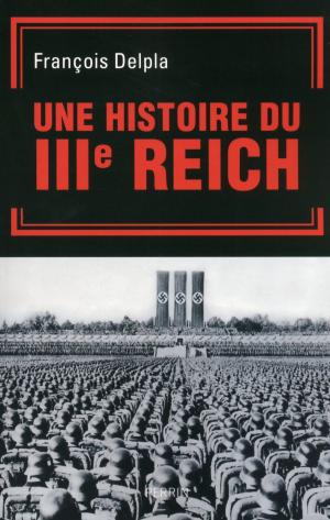 Cover of the book Une histoire du Troisième Reich by Jean M. AUEL