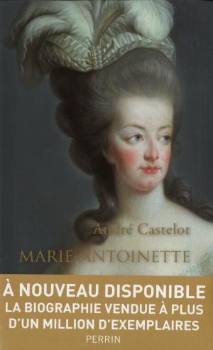 Cover of the book Marie-Antoinette by Joël SCHMIDT