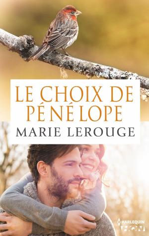Book cover of Le choix de Pénélope