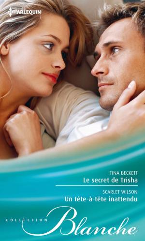 Cover of the book Le secret de Trisha - Un tête-à-tête inattendu by Cara Summers