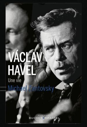 Book cover of Vaclav Havel