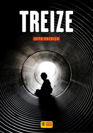 Cover of the book Treize by Paul CLEAVE