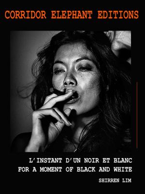 Cover of the book L'instant d'un noir et blanc by Damian Siqueiros