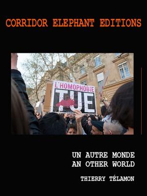 Cover of the book Un autre monde by Zilon Lazer