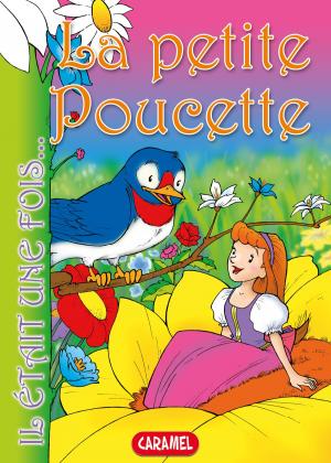 Cover of the book La petite Poucette by Monica Pierazzi Mitri, The Amazing Journeys