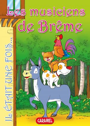 Cover of the book Les musiciens de Brême by Jans Ivens, Célestin le magicien