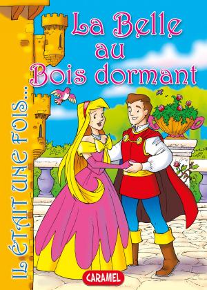 Cover of the book La Belle au Bois dormant by Edith Soonckindt, Mathieu Couplet, Lola & Woofy