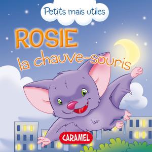 Cover of the book Rosie la chauve-souris by Sally-Ann Hopwood, Bedtime Stories