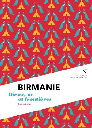 Book cover of Birmanie : Dieux, or et frontières