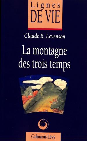 Cover of the book La Montagne des trois temps by Michel Peyramaure