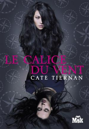 Cover of the book Le calice du vent by Becca Fitzpatrick