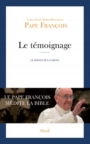 Cover of the book Le témoignage by Karine-Marie Amiot, Florian Thouret