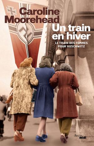 Book cover of Un train en hiver
