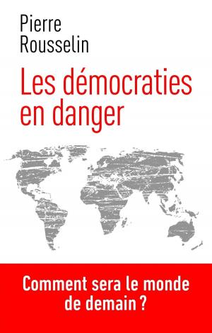 Cover of the book Les démocraties en danger by Vincent VILLEMINOT