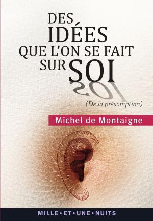 Cover of the book Des idées que l'on se fait sur soi by Jean-Philippe Domecq