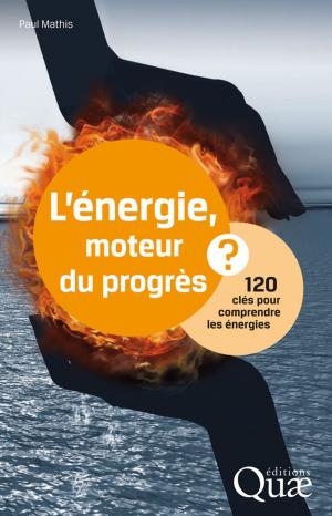 Cover of the book L'énergie, moteur du progrès ? by Francis Rouxel, Robert Lafon, Dominique Blancard, Charles-Marie Messiaen