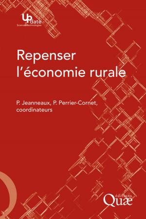 Cover of the book Repenser l'économie rurale by Florentina Moatar, Nadia Dupont