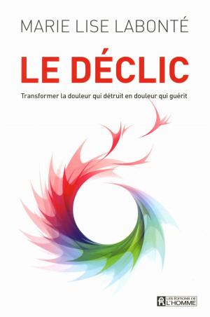 Cover of the book Le déclic by Denise Bombardier