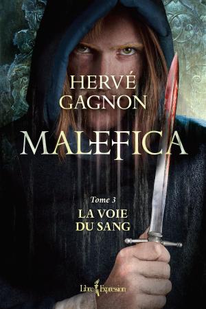 Cover of the book Malefica, tome 3 by Dominique Drouin