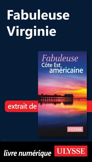 Cover of the book Fabuleuse Virginie by Jérôme Delgado