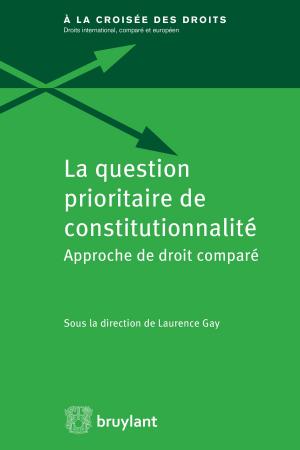 Cover of the book La question prioritaire de constitutionnalité by Marina Blitz, Nicole Gallus, Jean-Pol Masson, Jean-Louis Renchon, Jehanne Sosson, Alain-Charles Van Gysel, Patrick Wautelet