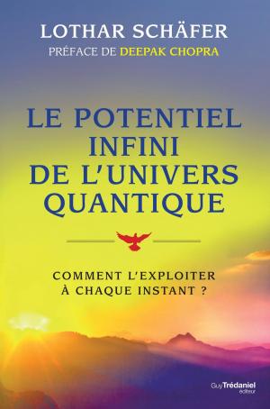 Book cover of Le potentiel infini de l'univers quantique