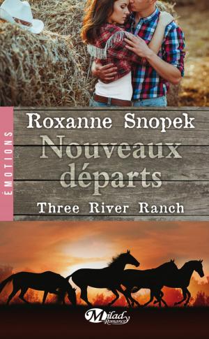Cover of the book Nouveaux départs by Annie Darling