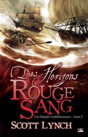 Cover of the book Des horizons rouge sang by Brent Weeks