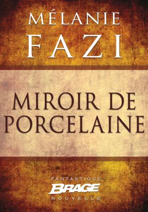 Cover of the book Miroir de porcelaine by Sylvie Allouche, Sandra Laugier