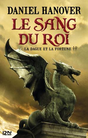 Cover of the book La Dague et la fortune - tome 2 : Le Sang du roi by Gilles LEGARDINIER