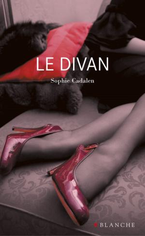 Cover of the book Le divan by Serge Betsen