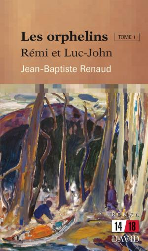 Cover of the book Les orphelins by Denis Sauvé, Jean-Claude Larocque