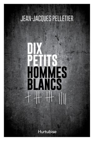 Book cover of Dix petits hommes blancs