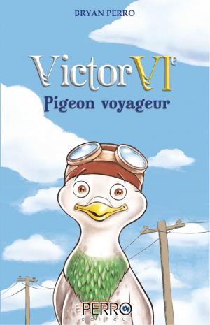 Book cover of Victor VIe