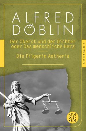 bigCover of the book Der Oberst und Dichter oder Das menschliche Herz / Die Pilgerin Aetheria by 