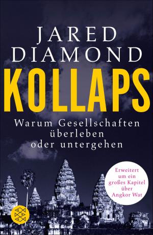 Cover of the book Kollaps by Anthony Gunn