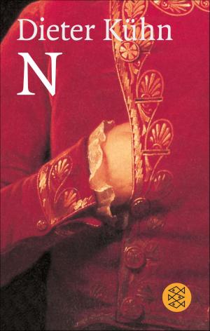Cover of the book N by Thomas Mann