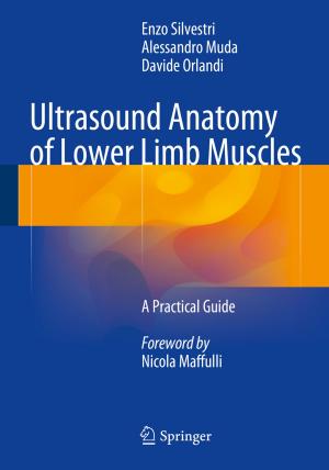Book cover of Ultrasound Anatomy of Lower Limb Muscles