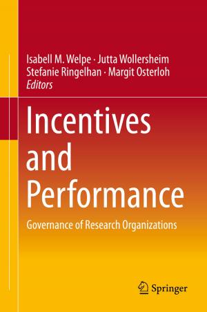 Cover of the book Incentives and Performance by Domenico Brigante