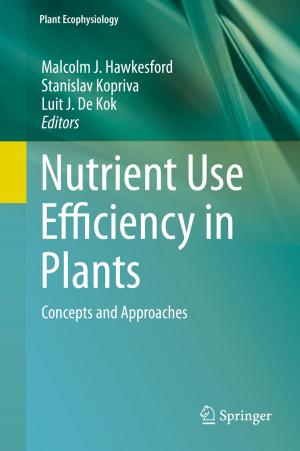 Cover of the book Nutrient Use Efficiency in Plants by Sahel Abdinia, Eugenio Cantatore, Arthur van Roermund