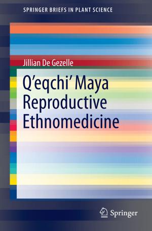Cover of the book Q’eqchi’ Maya Reproductive Ethnomedicine by Alin Olteanu