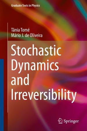 Cover of the book Stochastic Dynamics and Irreversibility by Silvian Spiridon