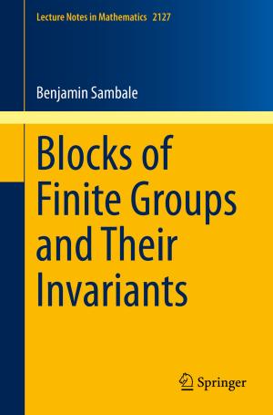 Cover of the book Blocks of Finite Groups and Their Invariants by David Geiger