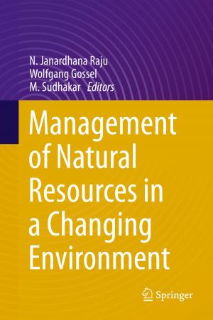 Cover of the book Management of Natural Resources in a Changing Environment by Brigid M. Costello