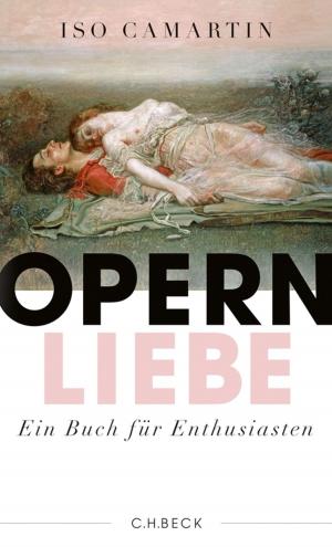 Cover of the book Opernliebe by Johann Hinrich Claussen, Christof Jaeger